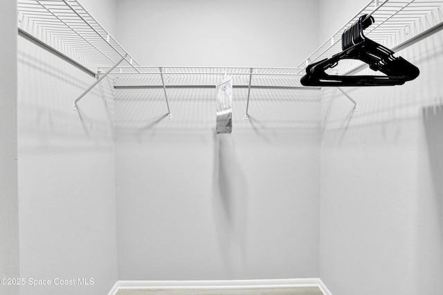 view of spacious closet