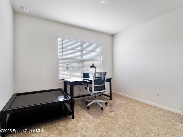 office space with light carpet