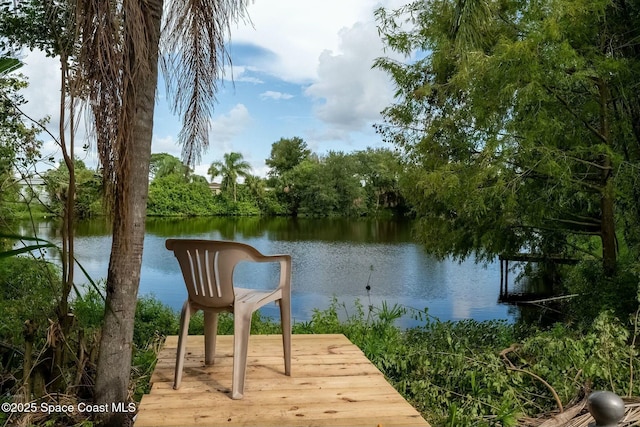 dock area featuring a water view