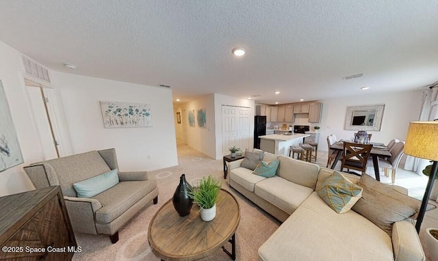 living room featuring a textured ceiling and light carpet