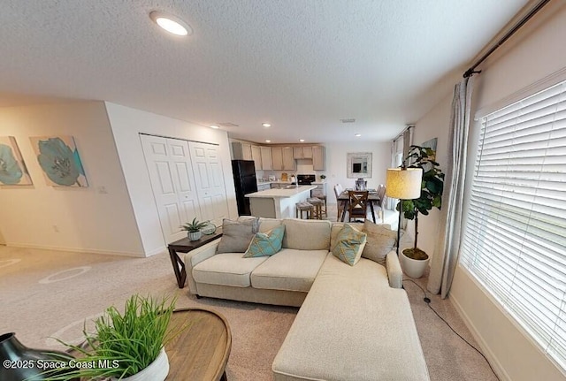 living room featuring light colored carpet and a textured ceiling