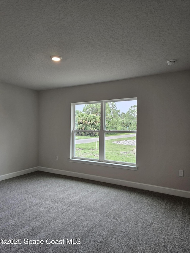 3317 Fitzpatrick Ave SW, Palm Bay, FL 32908 - carpeted spare room with healthy amount of natural light, baseboards, a textured ceiling, and a smoke detector