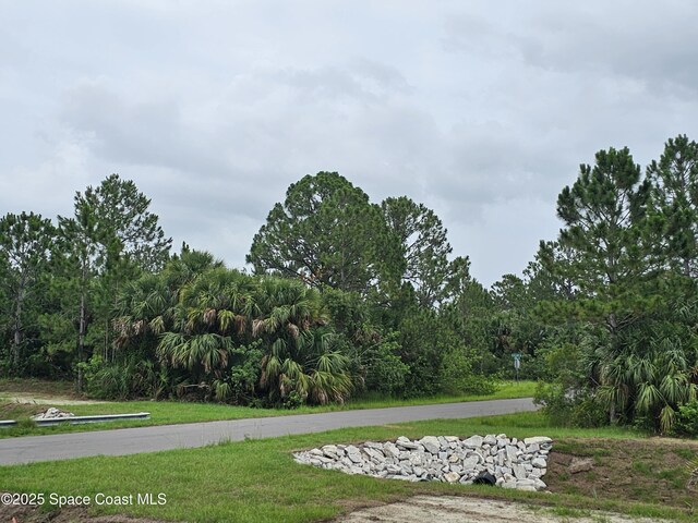 3317 Fitzpatrick Ave SW, Palm Bay, FL 32908 - view of road