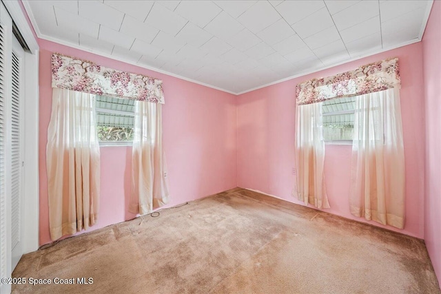 spare room featuring carpet floors and ornamental molding