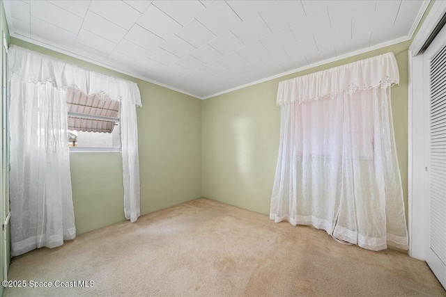 carpeted spare room featuring ornamental molding