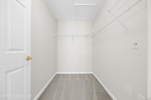 spacious closet with carpet floors