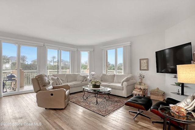 living room with light hardwood / wood-style flooring