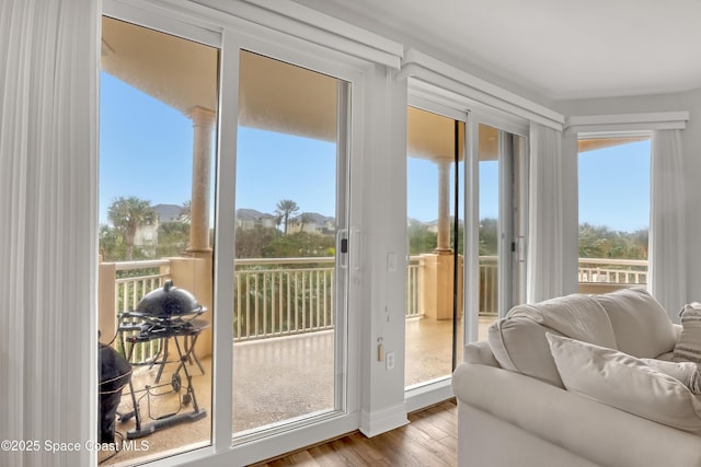 doorway to outside with hardwood / wood-style floors