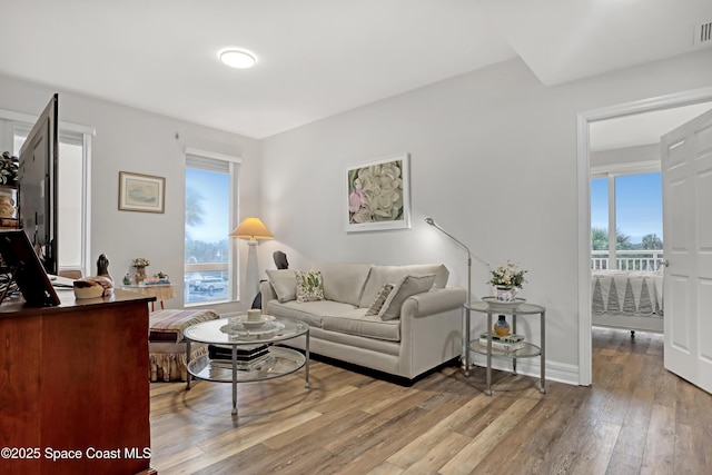 living room featuring hardwood / wood-style floors