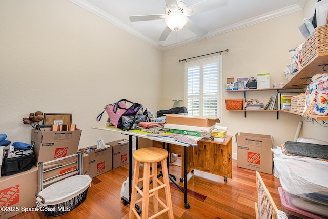 office featuring ceiling fan, light wood-type flooring, and crown molding