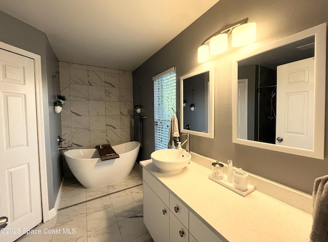 bathroom with vanity and a bathtub