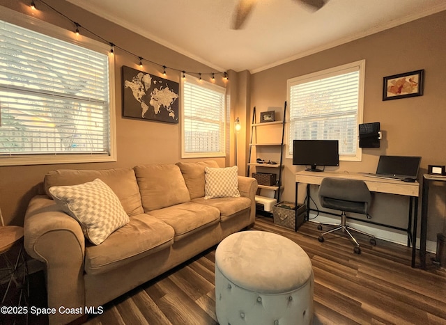 office space featuring crown molding, dark hardwood / wood-style floors, and a healthy amount of sunlight