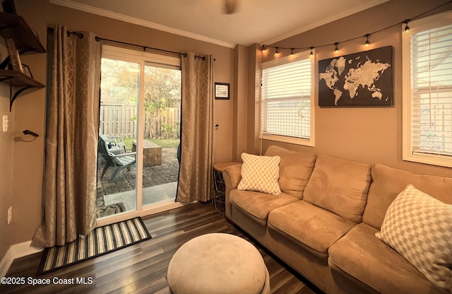 living room featuring ornamental molding and dark hardwood / wood-style flooring