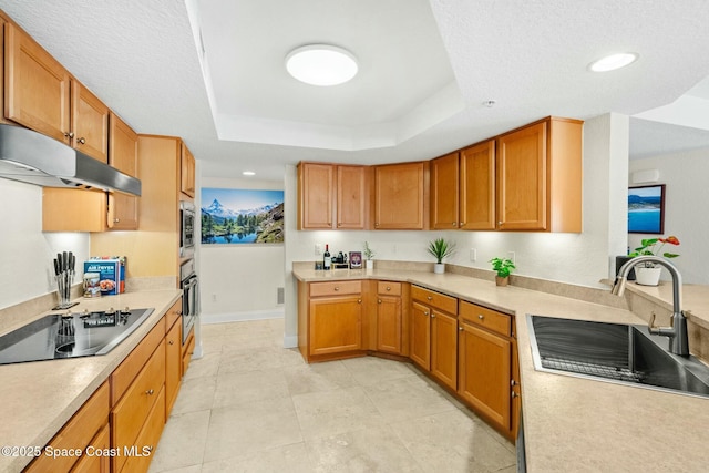 kitchen featuring sink, a raised ceiling, and stainless steel appliances