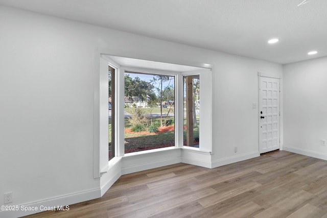 empty room featuring light hardwood / wood-style floors and plenty of natural light