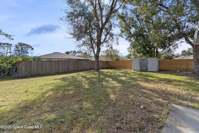 view of yard featuring a storage shed