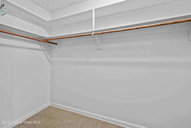 spacious closet with carpet flooring