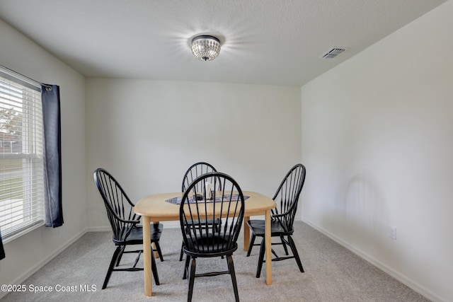 carpeted dining room with a wealth of natural light