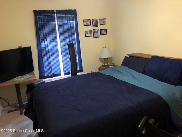 bedroom with carpet