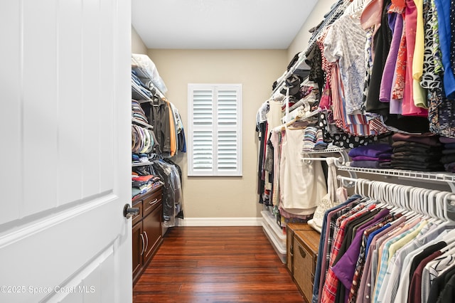 walk in closet featuring dark hardwood / wood-style floors