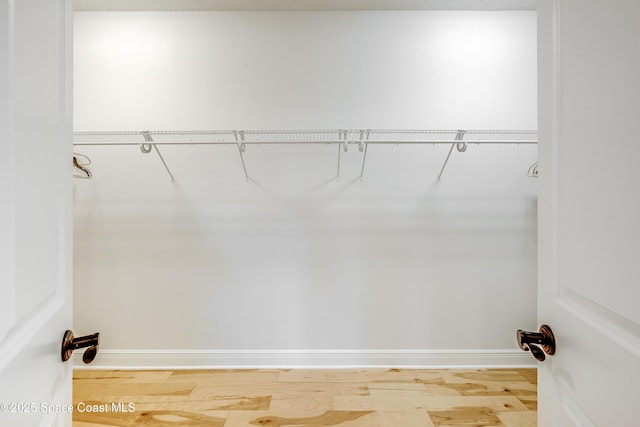 spacious closet with hardwood / wood-style floors