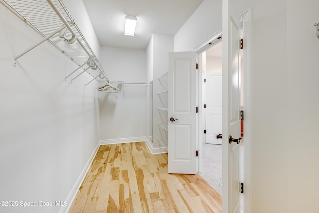 walk in closet with hardwood / wood-style floors