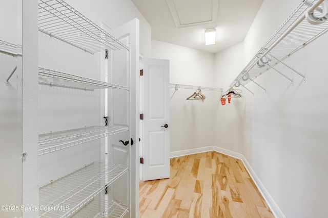 walk in closet with hardwood / wood-style flooring