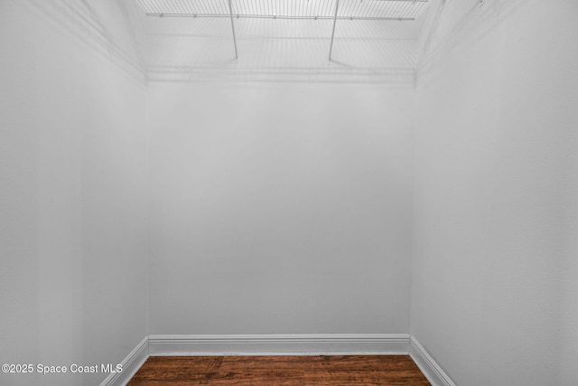 walk in closet with wood-type flooring