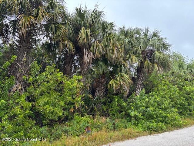 773 Hurricane St, Palm Bay FL, 32908 land for sale