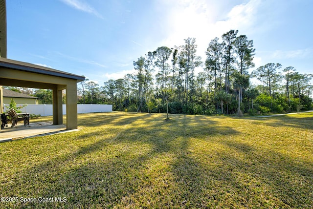 view of yard featuring a patio