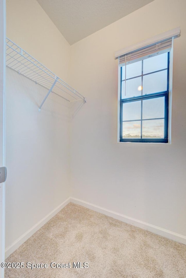 walk in closet featuring carpet flooring