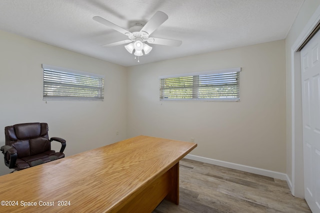 office space featuring a textured ceiling, plenty of natural light, and light wood-style flooring