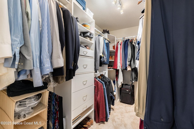 spacious closet with light carpet