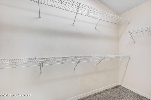 walk in closet with carpet floors and lofted ceiling