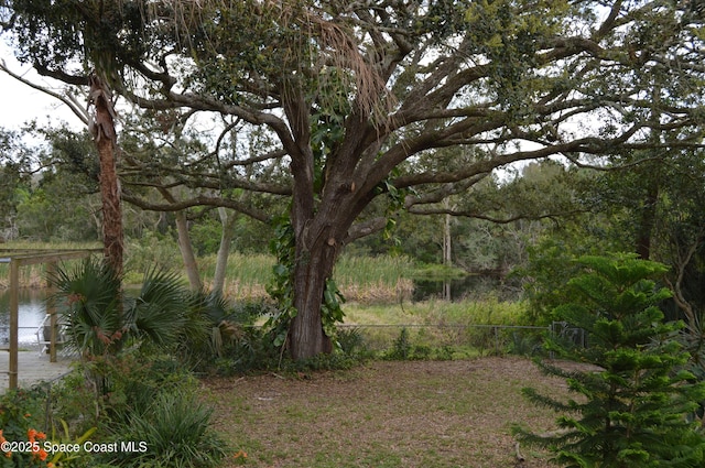 2445 Dolphin Rd, Titusville, FL 32780 - photo 27