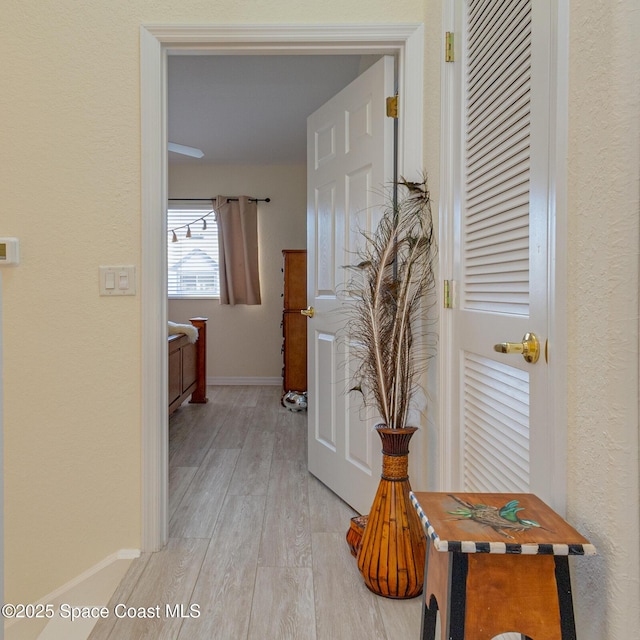 hall featuring light hardwood / wood-style floors