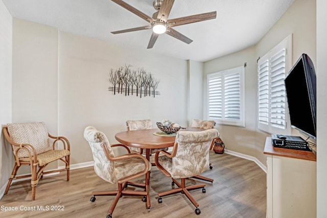 dining space with ceiling fan and light hardwood / wood-style flooring