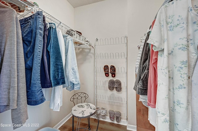 spacious closet with wood-type flooring