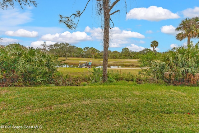 view of yard featuring a water view