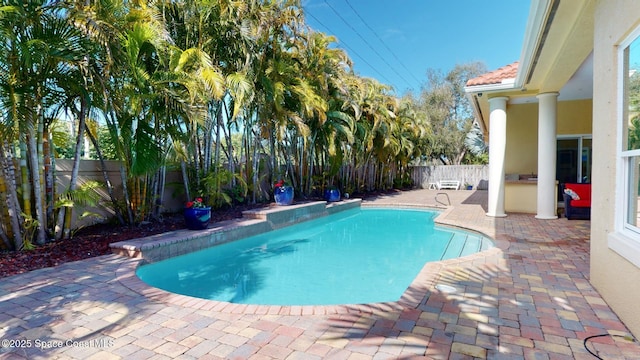 view of swimming pool with an outdoor kitchen and a patio area