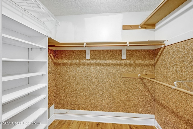 spacious closet with wood-type flooring