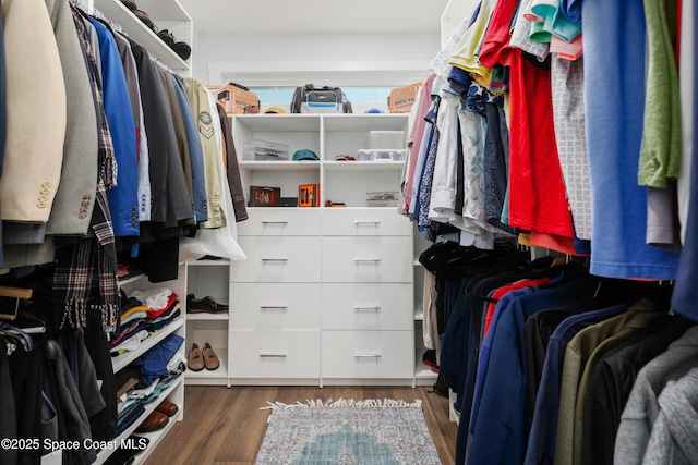 spacious closet featuring dark wood-type flooring