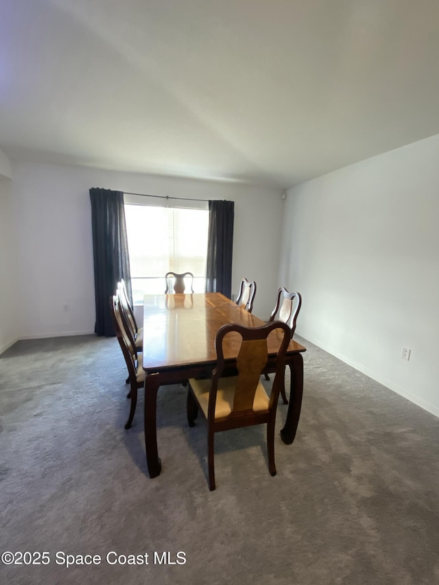 dining area featuring dark colored carpet