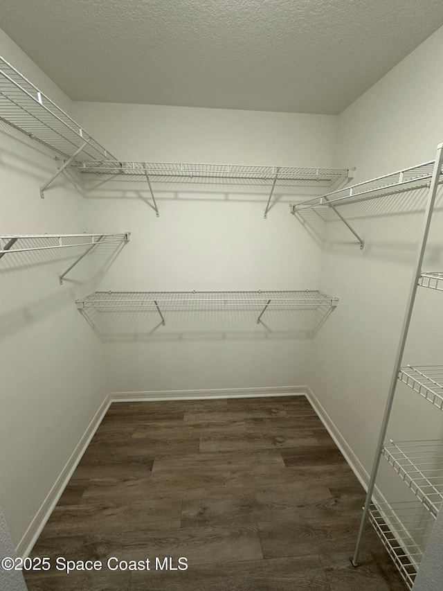 spacious closet with dark hardwood / wood-style flooring