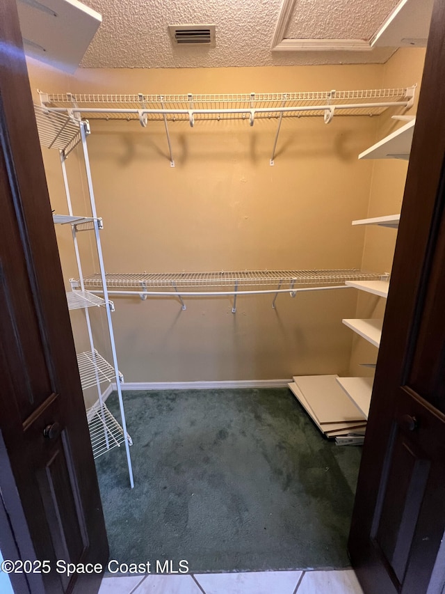 spacious closet with carpet floors