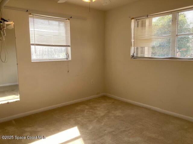 spare room with carpet floors