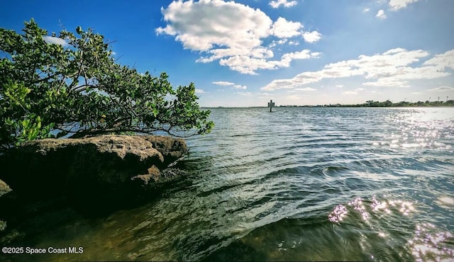 view of water feature