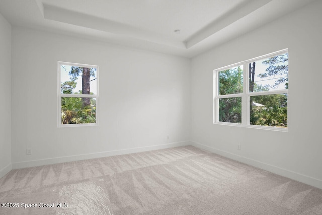 spare room featuring a tray ceiling and carpet flooring