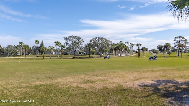 view of property's community with a yard