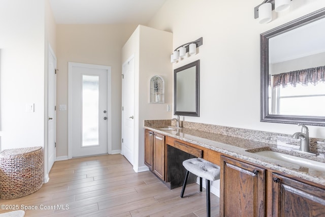 bathroom with wood-type flooring and vanity